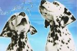 Watch 101 Dalmatians Sing Along Zumvo