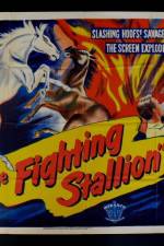 Watch The Fighting Stallion Zumvo