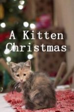 Watch A Kitten Christmas Zumvo