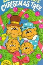 Watch The Berenstain Bears' Christmas Tree Zumvo