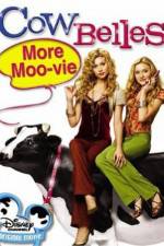 Watch Cow Belles Zumvo