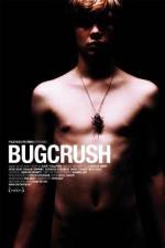 Watch Bugcrush Zumvo