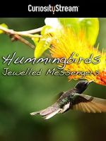 Watch Hummingbirds Jewelled Messengers Zumvo