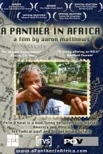 Watch A Panther in Africa Zumvo