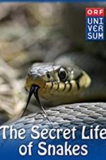 Watch The Secret Life of Snakes Zumvo