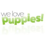 Watch We Love Puppies Zumvo