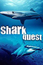 Watch Shark Quest Zumvo