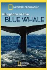 Watch National Geographic Kingdom of Blue Whale Zumvo