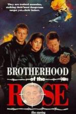 Watch Brotherhood of the Rose Zumvo