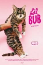 Watch Lil Bub & Friendz Zumvo