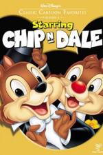 Watch Chip an' Dale Zumvo