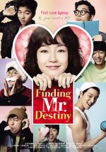 Watch Finding Mr. Destiny Zumvo