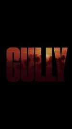 Watch Gully Zumvo