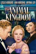 Watch The Animal Kingdom Zumvo