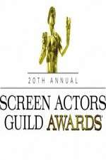 Watch The 20th Annual Screen Actors Guild Awards Zumvo