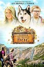 Watch Timber the Treasure Dog Zumvo