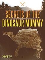 Watch Secrets of the Dinosaur Mummy Zumvo