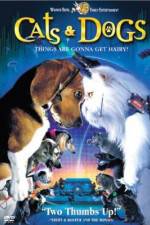 Watch Cats & Dogs Zumvo