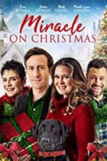 Watch Miracle on Christmas Zumvo