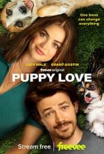 Watch Puppy Love Zumvo