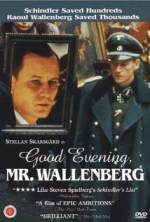 Watch Good Evening, Mr. Wallenberg Zumvo