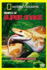 Watch National Geographic Search For The Super Snake Zumvo