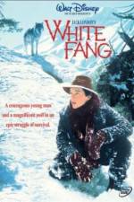 Watch White Fang Zumvo