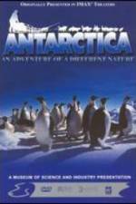 Watch Antarctica Zumvo