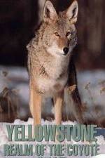 Watch Yellowstone: Realm of the Coyote Zumvo