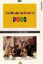 Watch The Wonderful World of Dogs Zumvo
