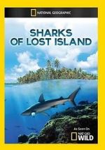 Watch Sharks of Lost Island Zumvo