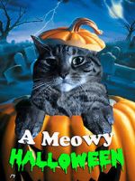 Watch A Meowy Halloween Zumvo