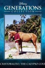 Watch Cristobalito the Calypso Colt Zumvo