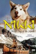 Watch Nikki Wild Dog of the North Zumvo