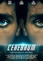 Watch Cerebrum Zumvo