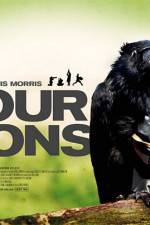 Watch Four Lions Zumvo