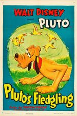 Watch Pluto\'s Fledgling Zumvo
