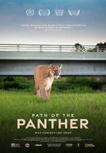 Watch Path of the Panther Zumvo