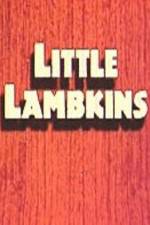 Watch Little Lambkin Zumvo
