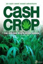 Watch Cash Crop Zumvo