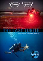 Watch The Last Turtle (Short 2019) Zumvo