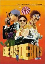 Watch Beastie Boys: Video Anthology Zumvo