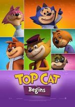 Watch Top Cat Begins Zumvo