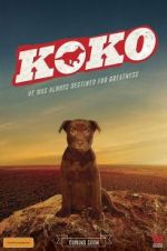 Watch Koko: A Red Dog Story Zumvo