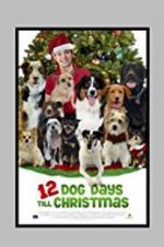 Watch 12 Dog Days Till Christmas Zumvo