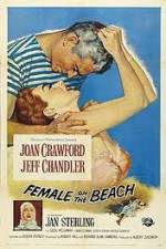 Watch Female on the Beach Zumvo
