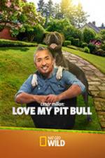 Watch Cesar Millan: Love My Pit Bull Zumvo