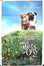 Watch Milo & Otis Zumvo