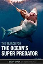 Watch The Search for the Oceans Super Predator Zumvo