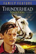 Watch Thunderhead - Son of Flicka Zumvo